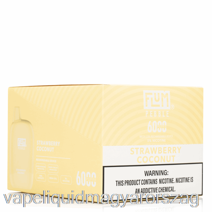 [10-es Csomag] Flum Pebble 6000 Eldobható Vape E Cigi